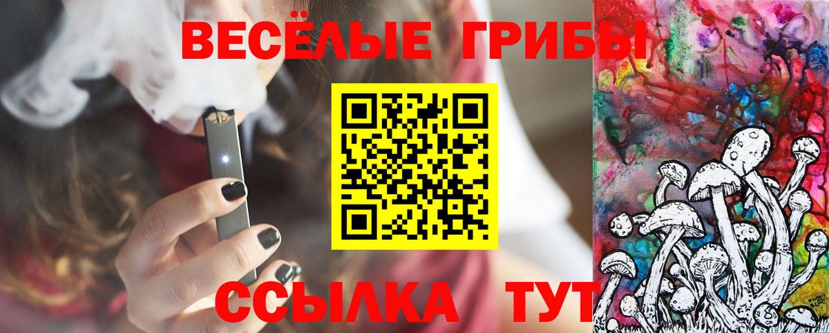 Псилоцибиновые грибы MAGIC MUSHROOMS  Вход с VPN  как найти наркотики  Обь  Галлюциногенные грибы GOLDEN TEACHER 