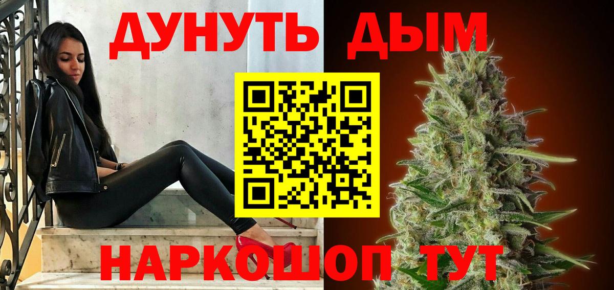 Каннабис индика Обь